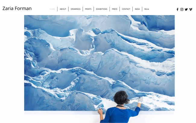 artist website example, Zaria Forman
