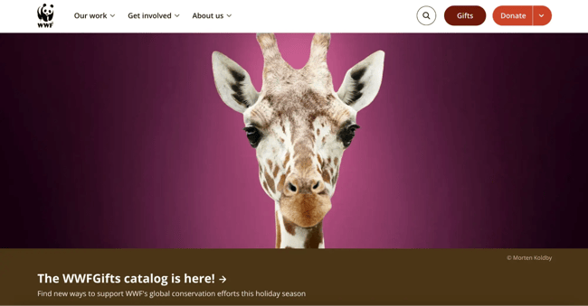 accessible website examples, wwf