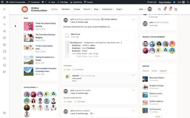 BuddyBoss activity feed showing posts, comments, and likes of members