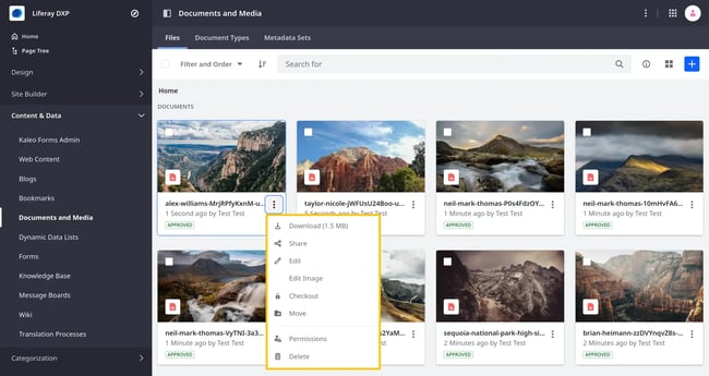 adobe experience manager alternatives liferay dxp