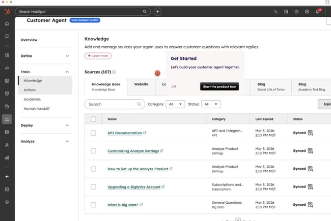 ai for customer success, Customer Agent