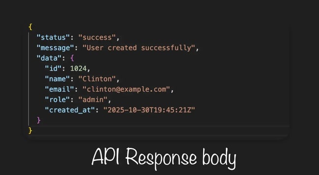 api response body