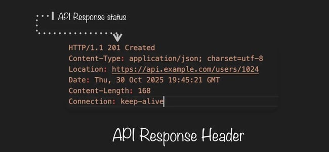 api, http response header