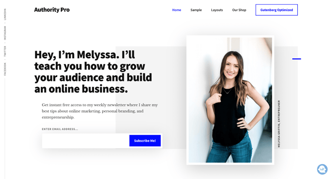 wordpress affiliate marketing themes; authority PRO
