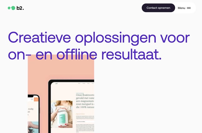 website color themes, b2 design