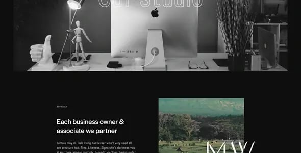 best agency website template, Notio WordPress theme
