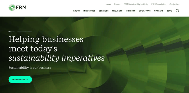 best consulting websites; ERM (Environmental Resources Management)