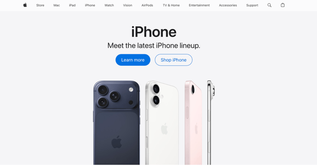 best website designs, apple