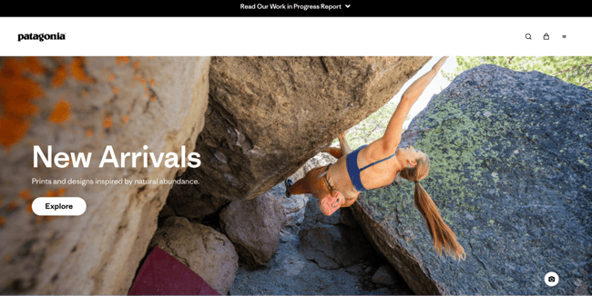 best website designs, patagonia