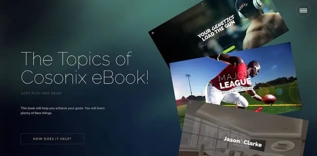 bookstore wordpress theme demo: cosonix theme