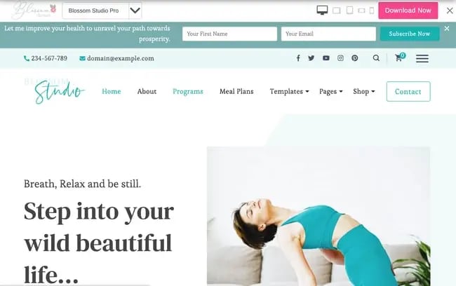Consulting WordPress Theme Blossom Studio Pro