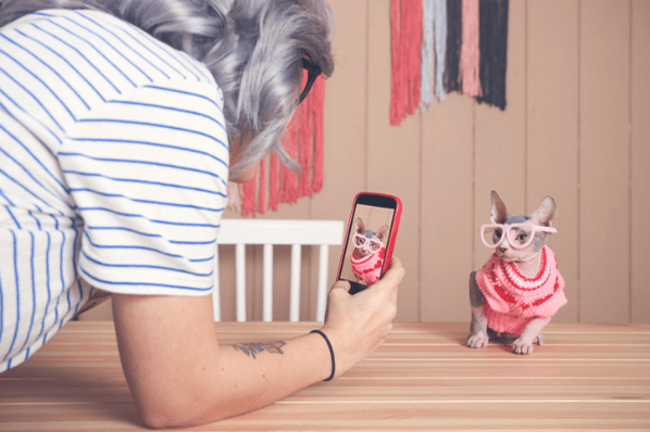 Influencerin macht ein Foto ihrer Katze im Pullover und nutzt einen Instagram Creator Account 