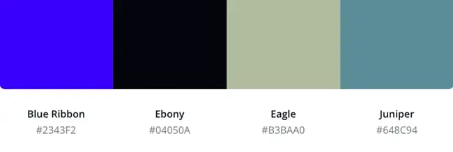 blue website color scheme featuring Blue Ribbon and Ebony