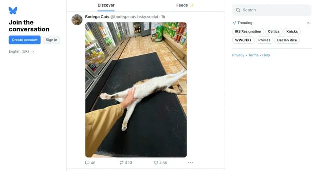 bluesky social feed interface displaying text-based posts, replies, and user interactions in a decentralized social network layout