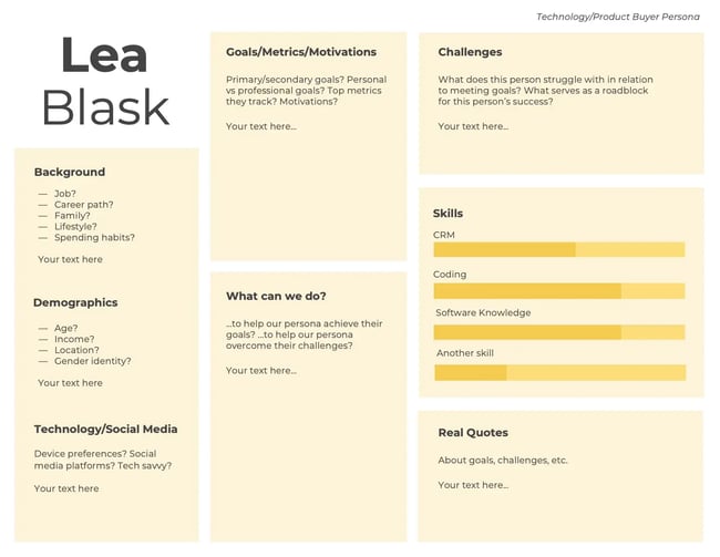 technology product buyer persona example