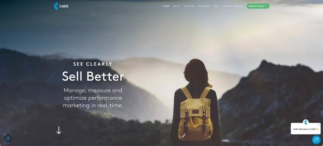 cake multichannel attribution tool