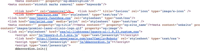 canonical-tag.png