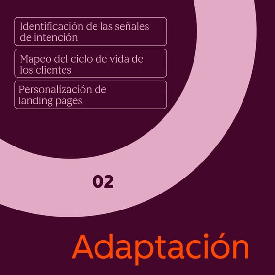 Etapa de adaptación - Loop Marketing