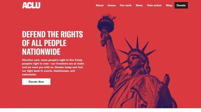 charity website design examples, ACLU