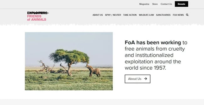 charity website design examples, Friends of Animals