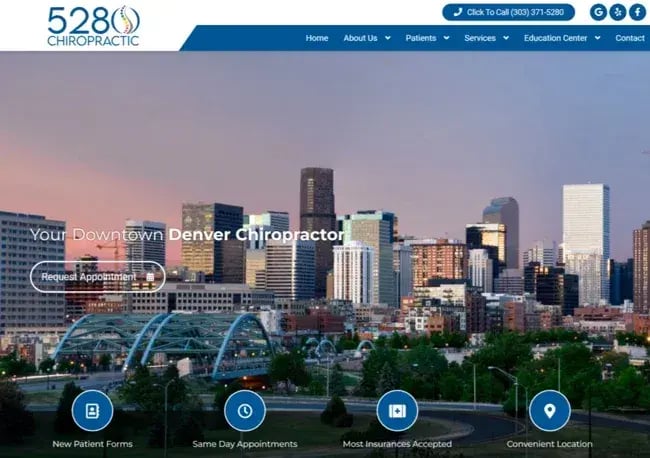 chiropractor website, 528