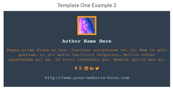 customizable wordpress author bio plugin template