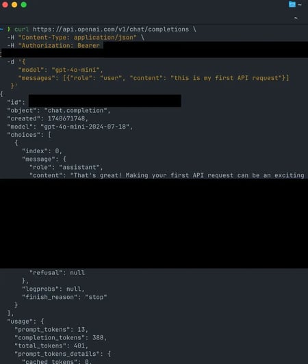 connect an app to an api, making first request
