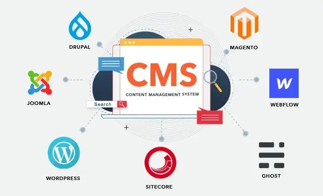 CMS structure