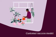 customer success model