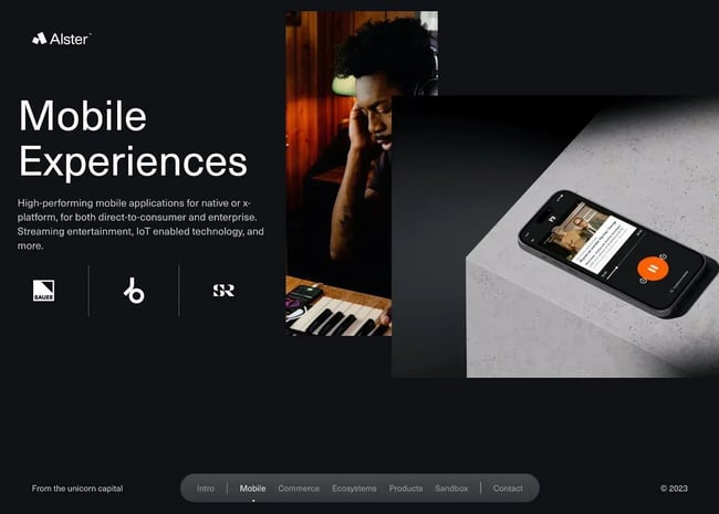 dark website themes, alster