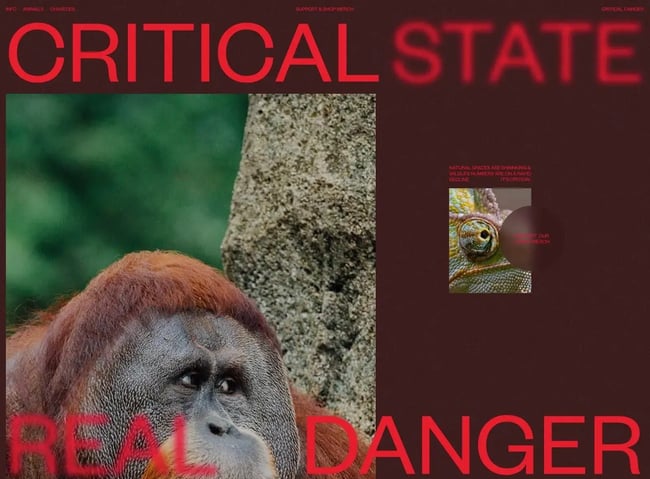 dark website themes, critical danger