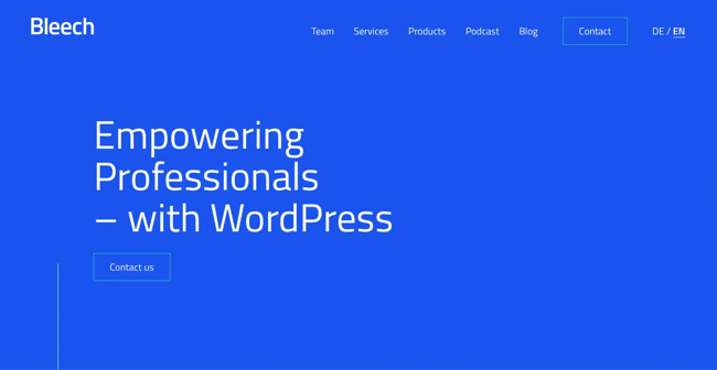 digital marketing website, bleech