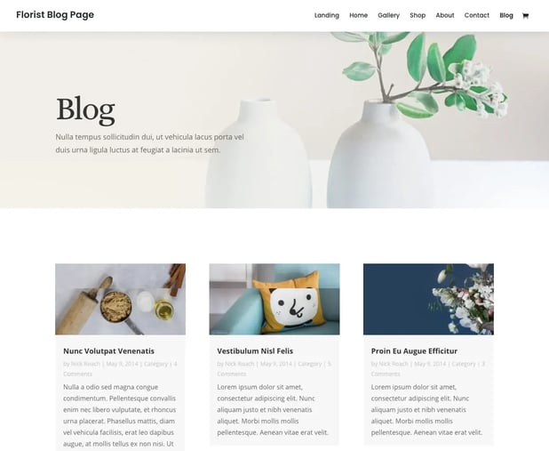 wordpress affiliate marketing themes; Divi