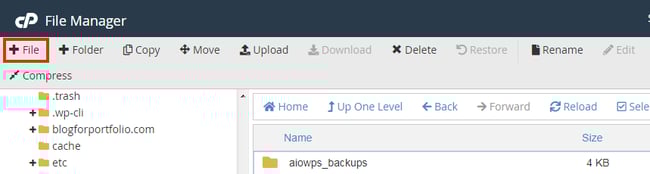 Create new functinons.php file in cPanel to create Divi child theme