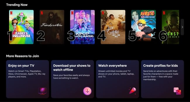 dynamic website example, netflix