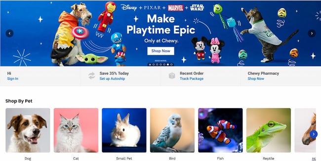 ecommerce website examples: chewy