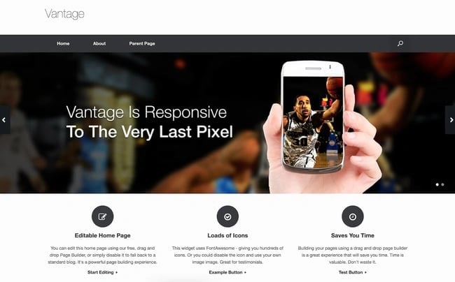 demo page for the wordpress ecommerce theme vantage