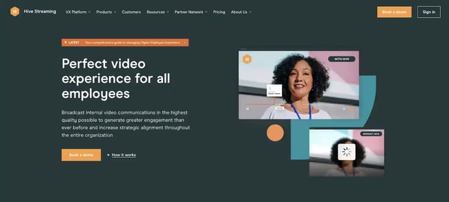 business website design example from hive streaming
