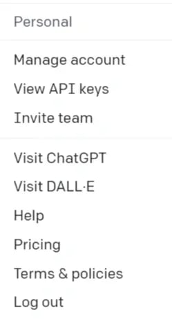 chat gpt training example, api key