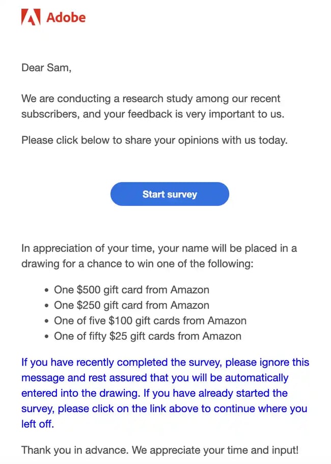 survey email example
