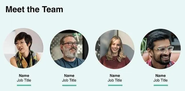meet the team