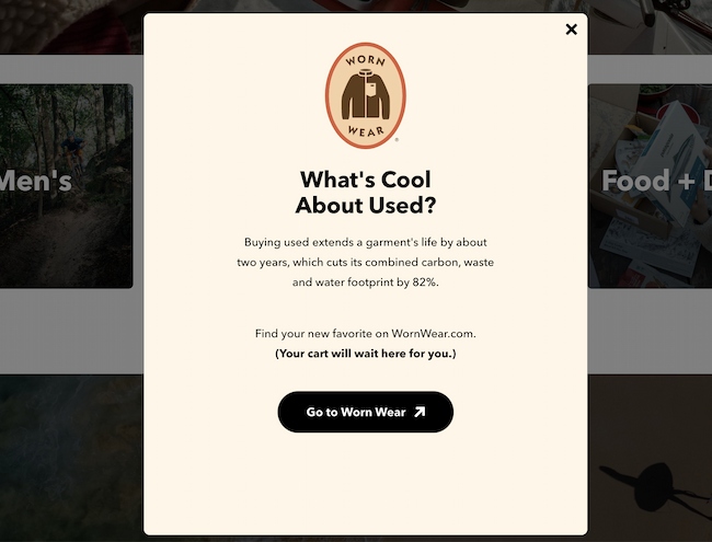 Exit intent popup example: Patagonia