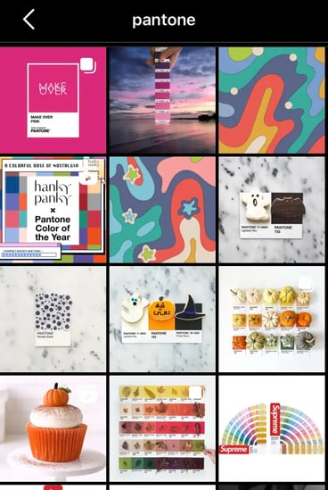 feed-insta-Pantone
