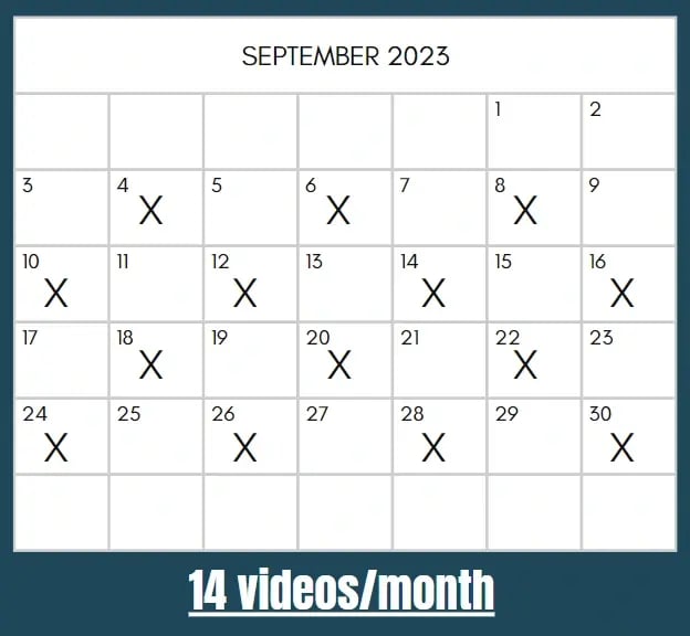 social media posting frequency