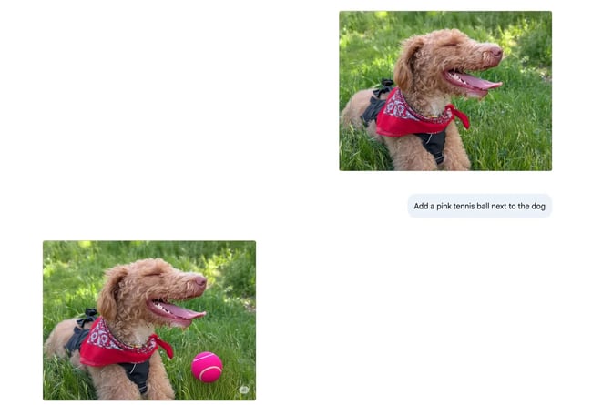 google ai studio, add a tennis ball to a photo of a dog