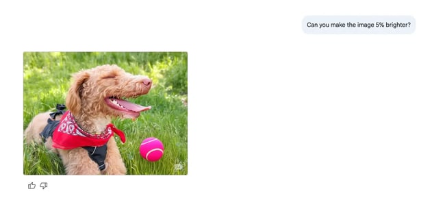 google ai studio, change the lighting of a photo of a dog