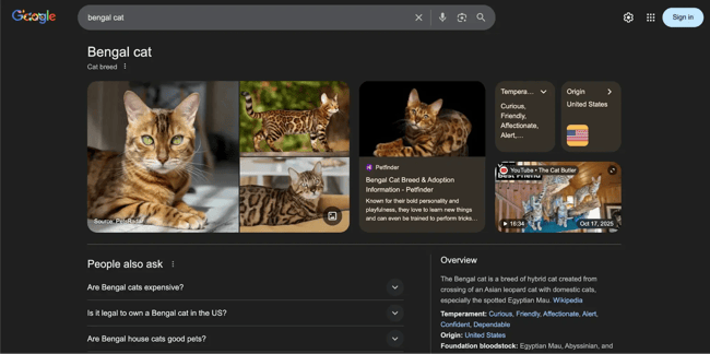 googles multimodal search results