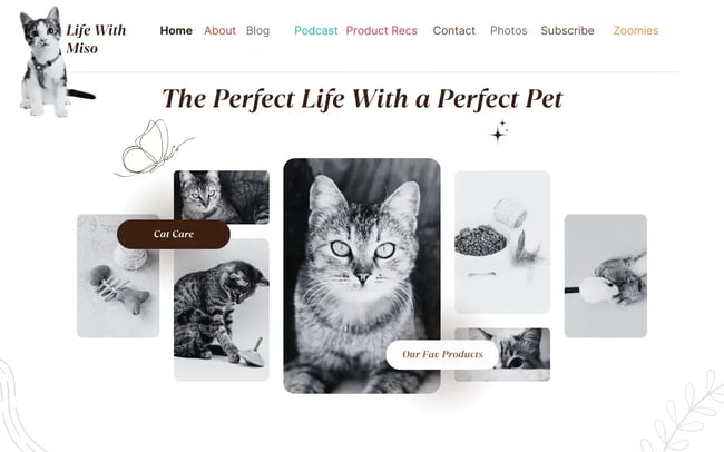 header design for a cat care blog Color