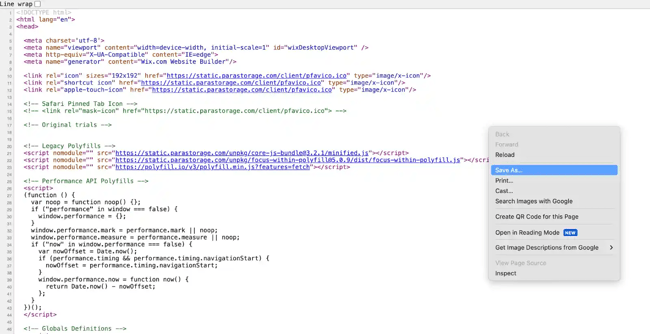 how to clone major website pages with html, pagesource save