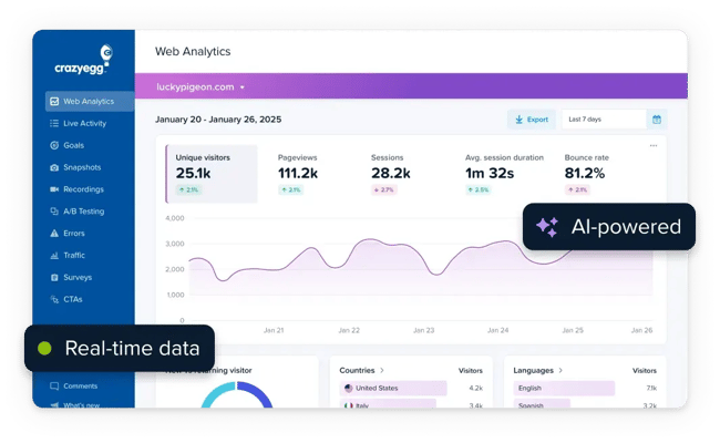 how to create a marketing strategy, crazy egg web analytics dashboard displaying ai-powered, real-time visitor data, pageviews, and key metrics